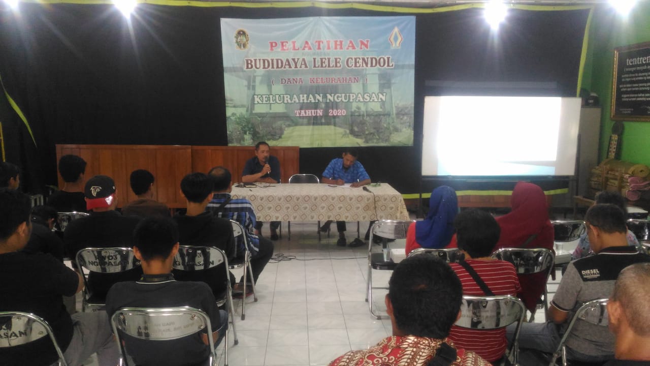 Pelatihan Budidaya Lele Cendol Kelurahan Ngupasan